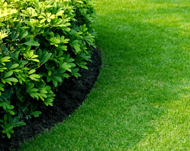 Lawn Care & Maintenance Services in Ridgeland, MS (1)